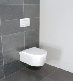 Villeroy & Boch Avento Hangtoilet Glanzend Wit Randloos -Badkamerwinkel de958051ecc03a4c076c1f53cd3cbdc23c366040 p 69057 packshot02
